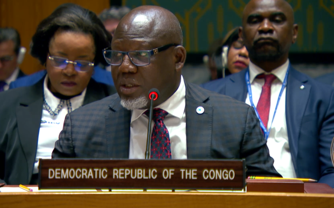 Security Council, 10114th Meeting – Statement by the Democratic Republic of the Congo on the theme “Energy, Critical Minerals and Security”