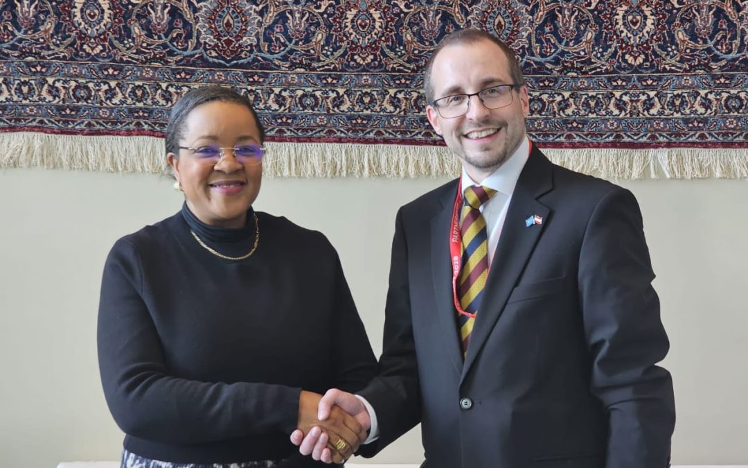 DRC–Austria: Meeting in New York on strengthening cooperation and issues of peace and security