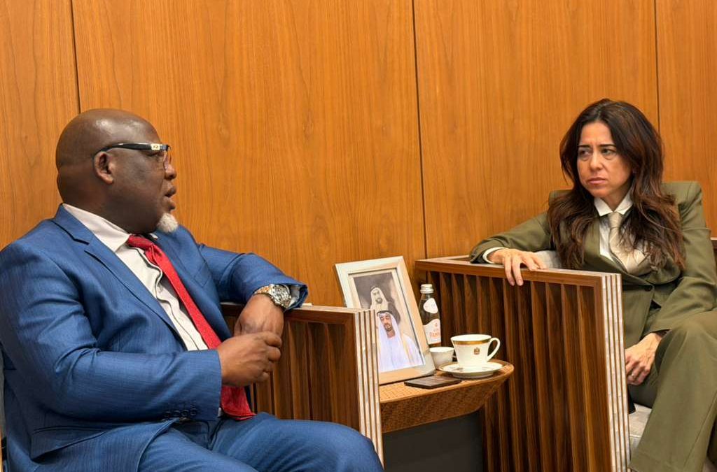 Situation in the Strait of Hormuz: Meeting between the Permanent Representative of the DRC and the UAE Minister of State