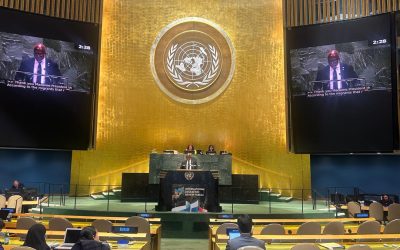 International Migration Review Forum: the DRC calls for migration governance based on dignity, solidarity and shared responsibility